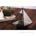 Terrario per piante in vetro sospeso di forma super grande geometrica